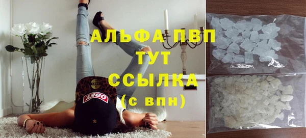 a pvp Аркадак