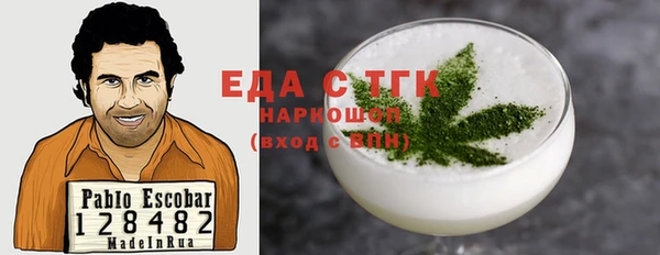 хмурый Арсеньев