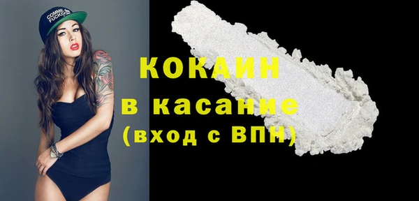 хмурый Арсеньев