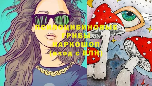 хмурый Арсеньев