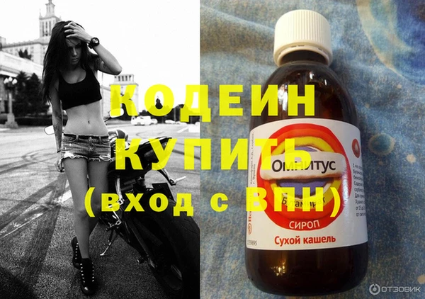 хмурый Арсеньев
