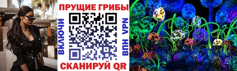 Псилоцибиновые грибы мухоморы  Купить закладки  Верхний Тагил 